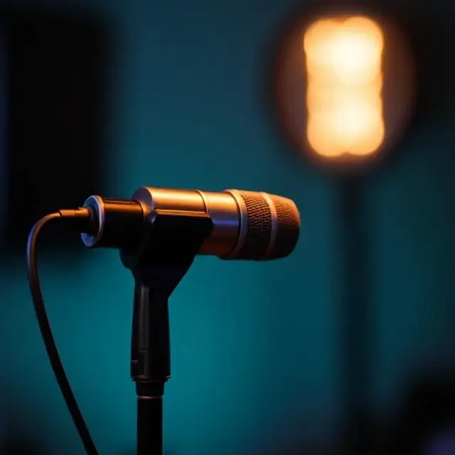 Shure SM7B dynamic microphone.